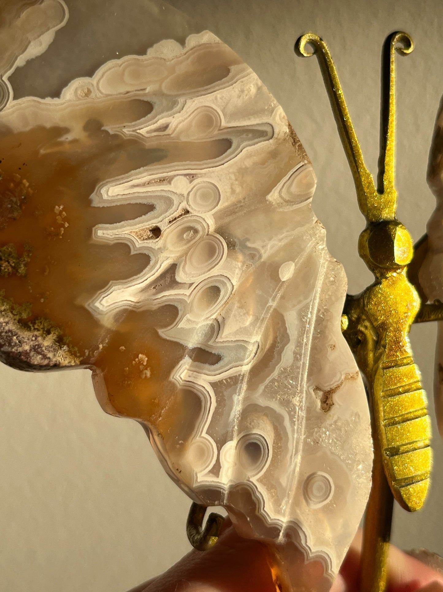 Orbicular Nebula Agate & Scenic Moss Butterfly Wings on Stand