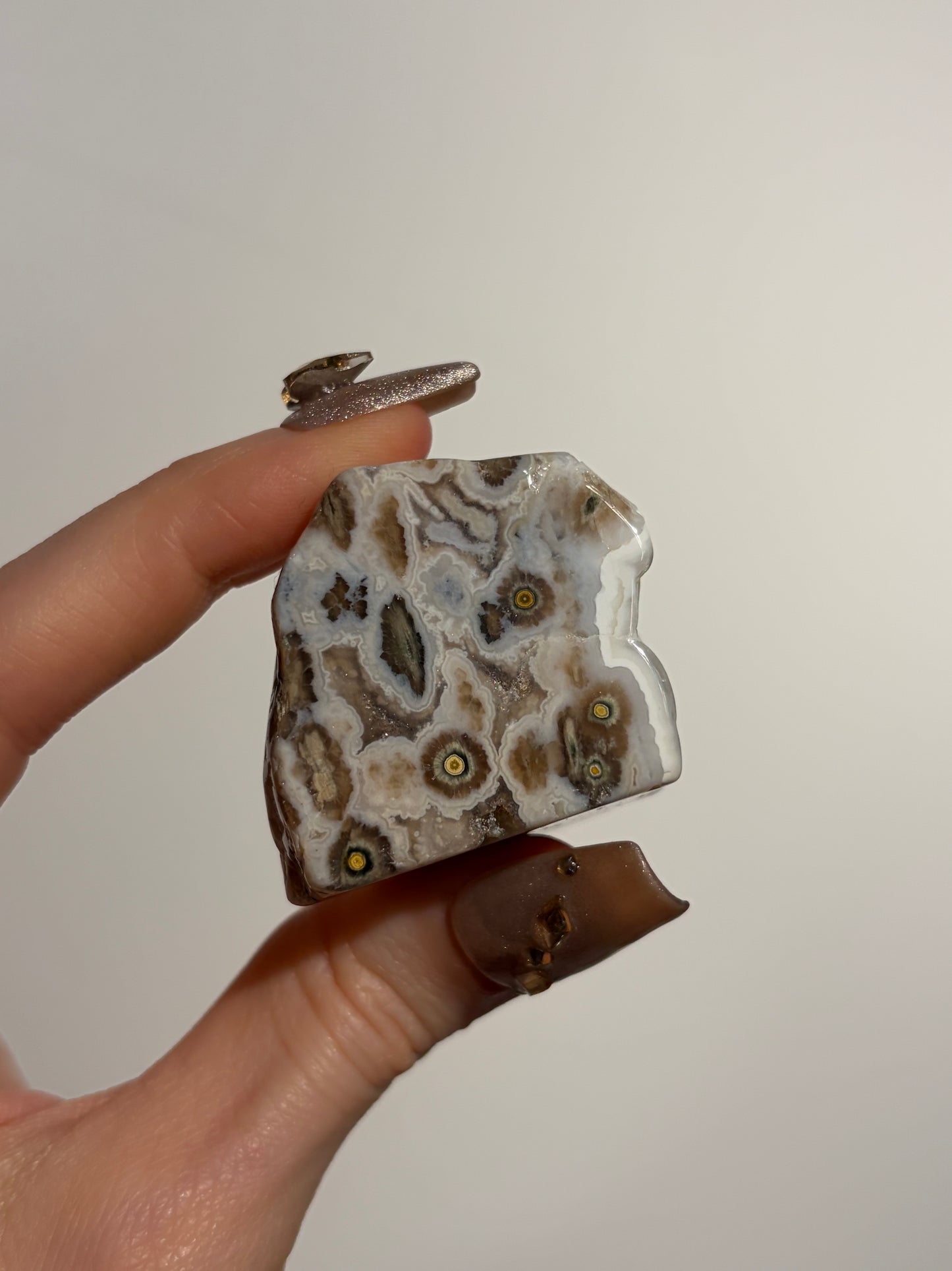 Druzy Orbicular Jasper Miniature Freeform D