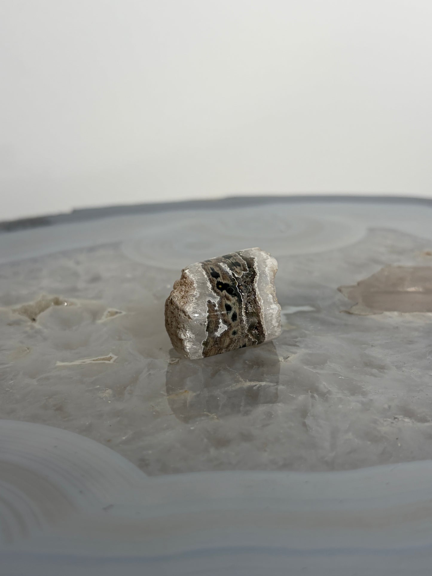 Druzy Orbicular Jasper Miniature Freeform J