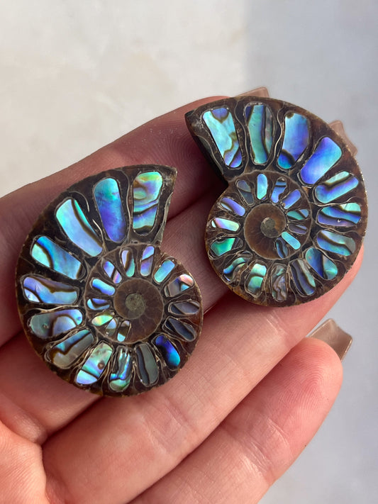 Opalised Ammonite Fossil with Abalone Shell Pair #2