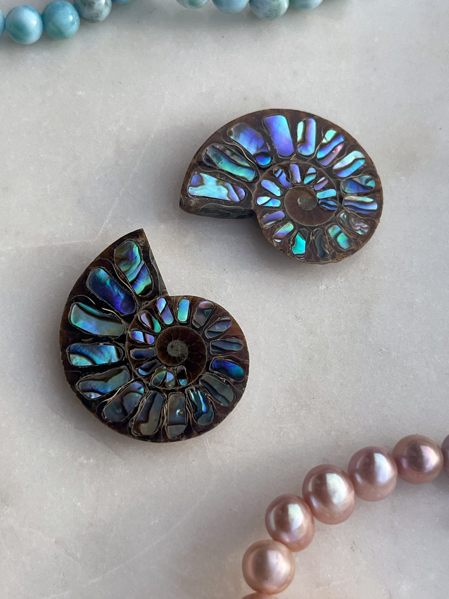 Opalised Ammonite Fossil with Abalone Shell Pair #2