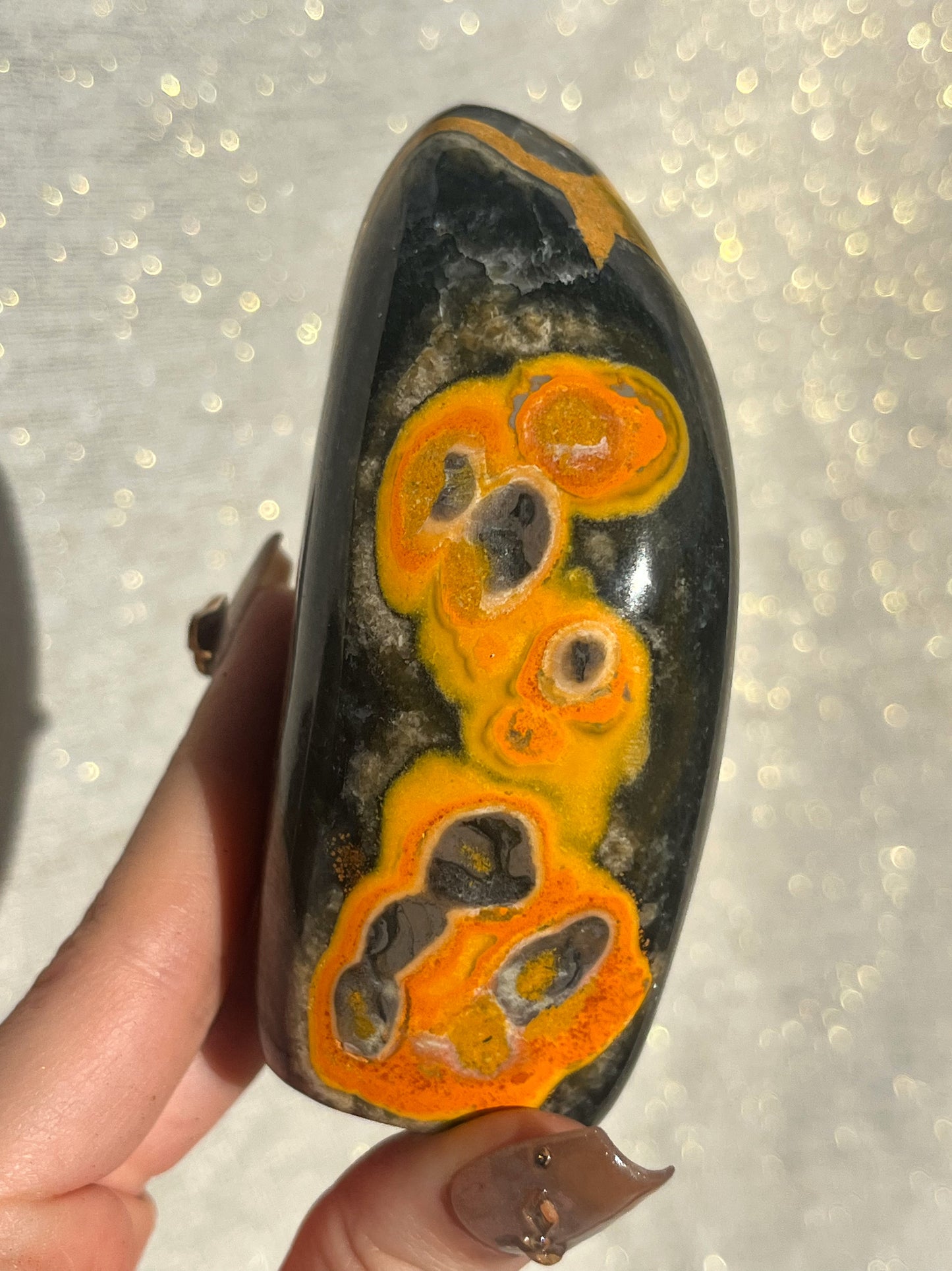 New Stock Orbicular Bumblebee Jasper Freeform #2