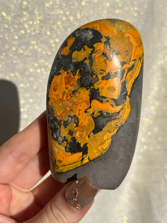 New Stock Orbicular Bumblebee Jasper Freeform #3