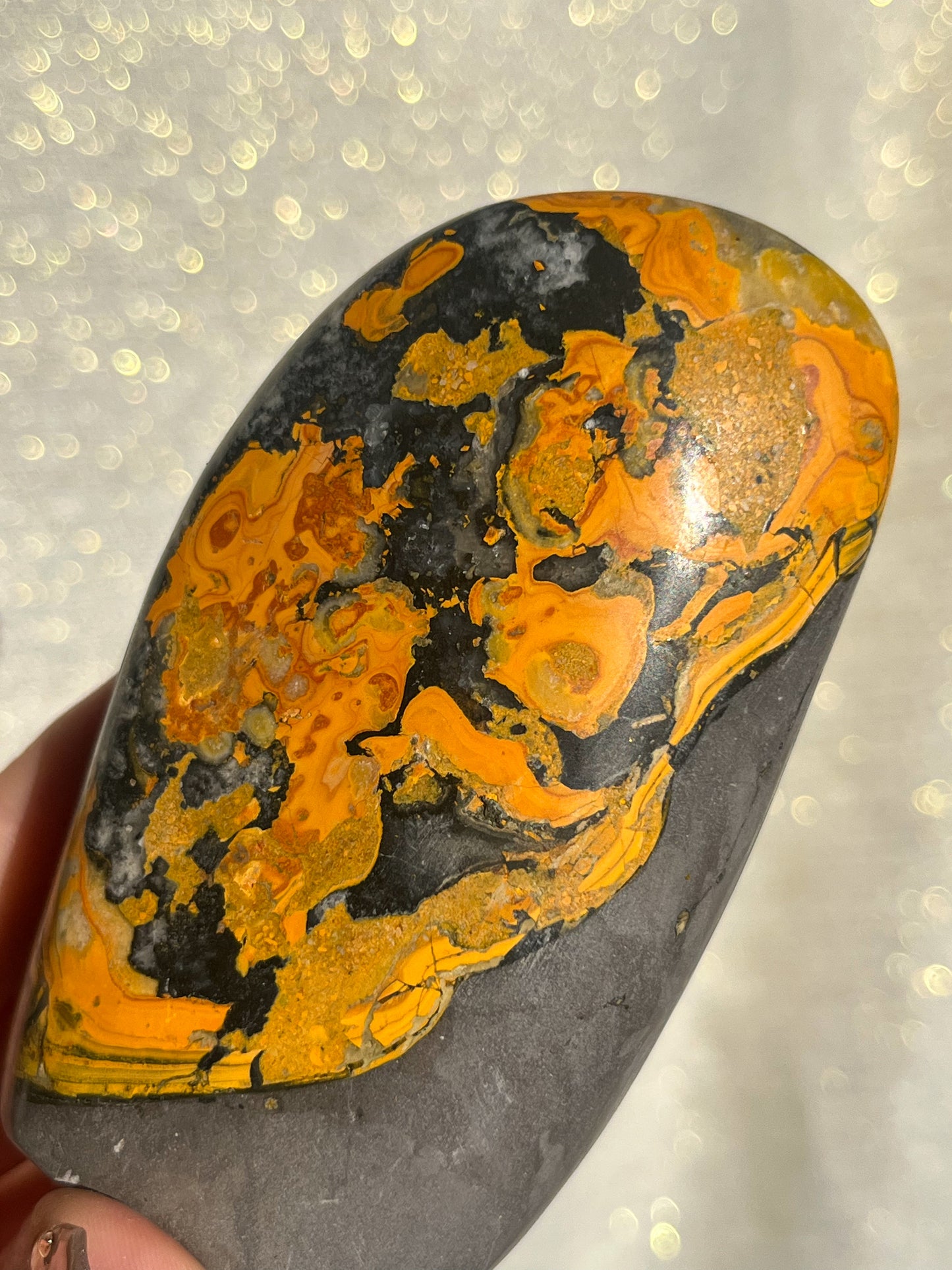 New Stock Orbicular Bumblebee Jasper Freeform #3