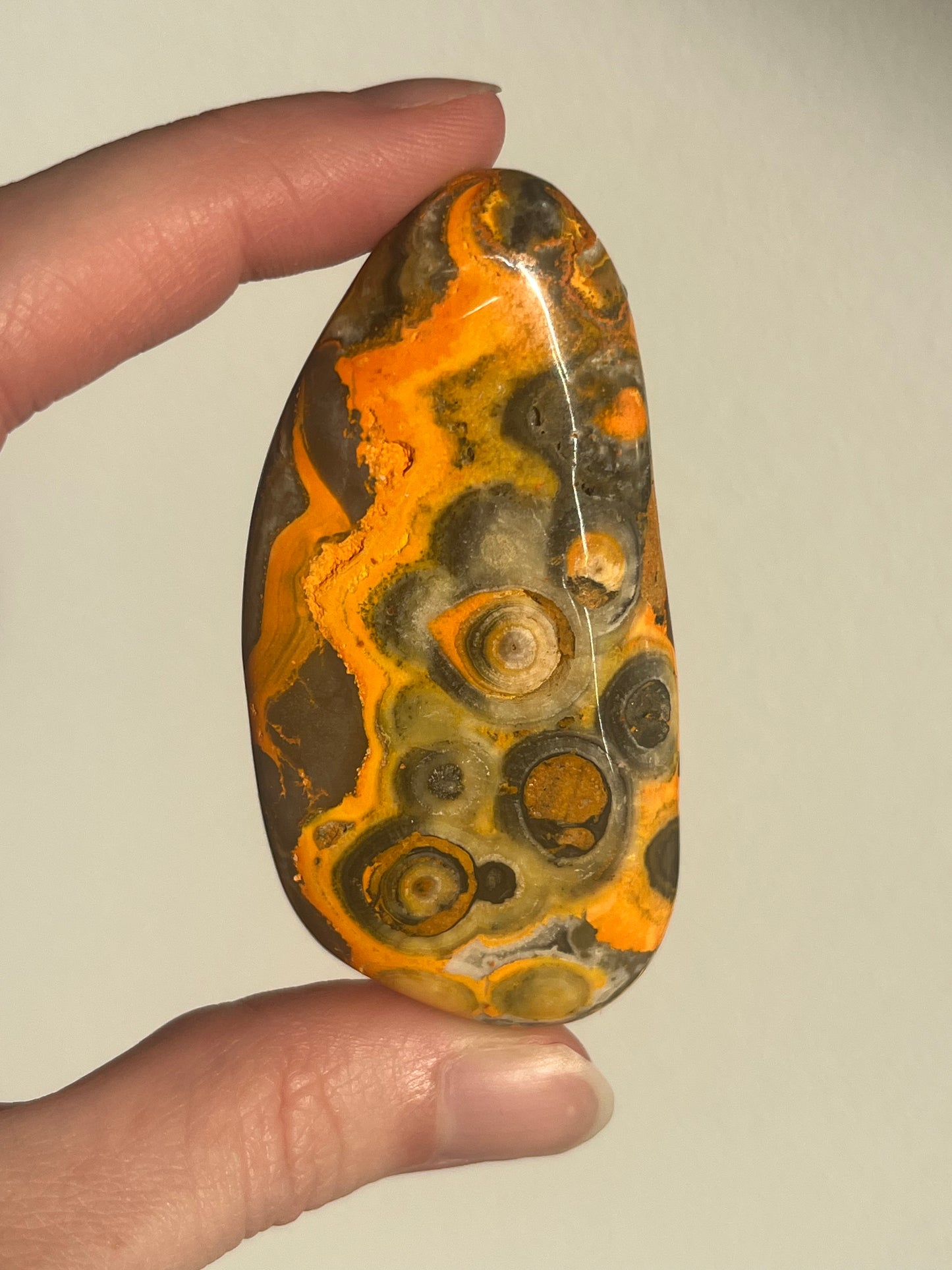 'Gua' Old Stock Orbicular Bumblebee Jasper Palmstone #2