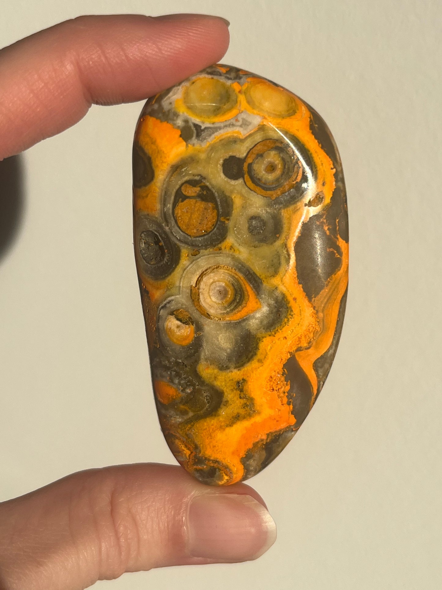 'Gua' Old Stock Orbicular Bumblebee Jasper Palmstone #2