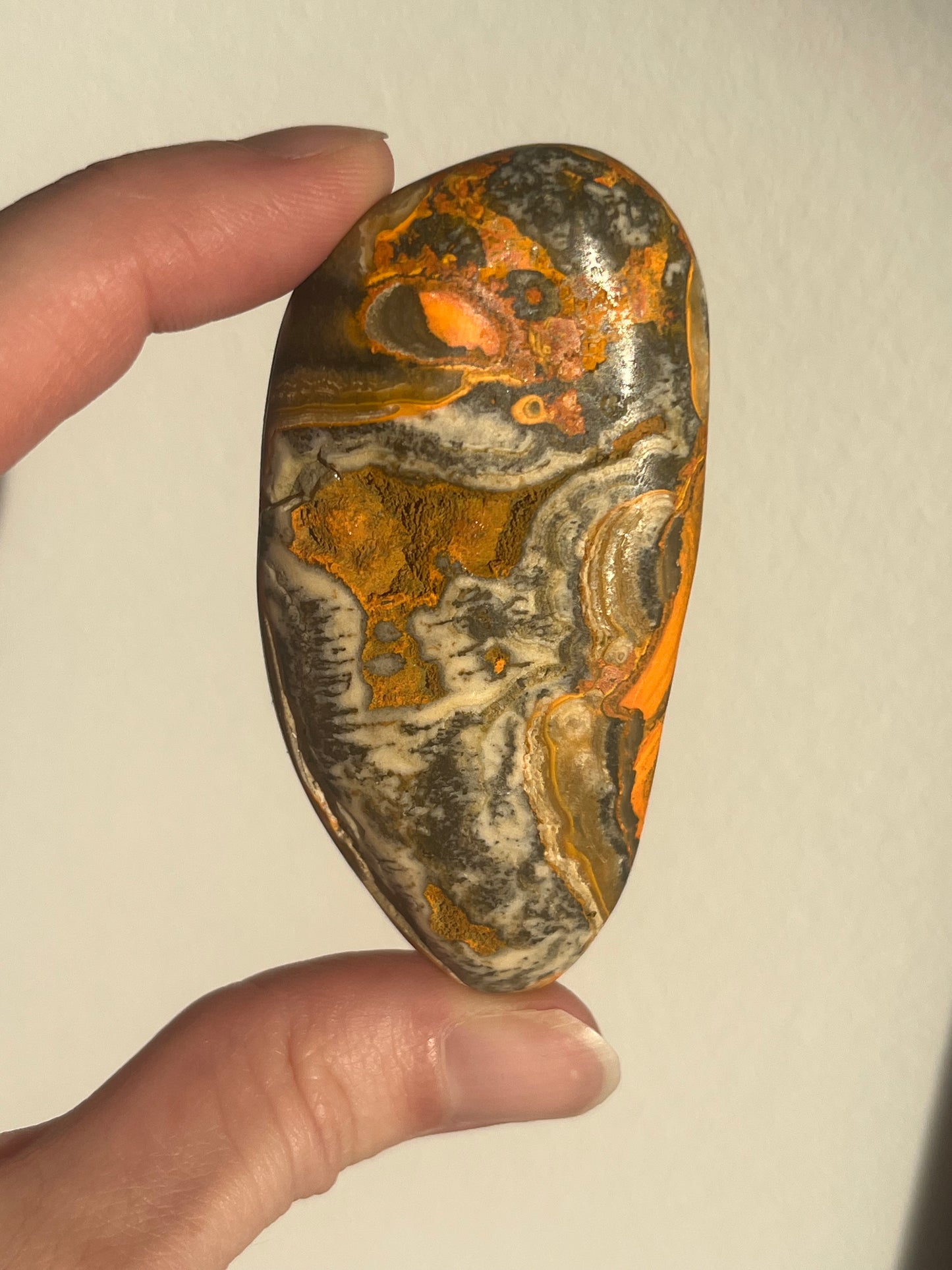 'Gua' Old Stock Orbicular Bumblebee Jasper Palmstone #2