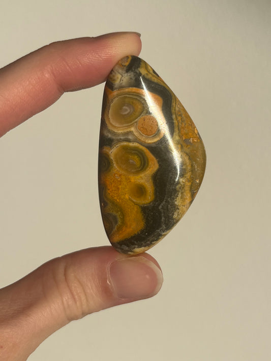 'Contour' Old Stock Orbicular Bumblebee Jasper Palmstone #3