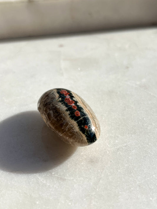 Orbicular Jasper Shiva