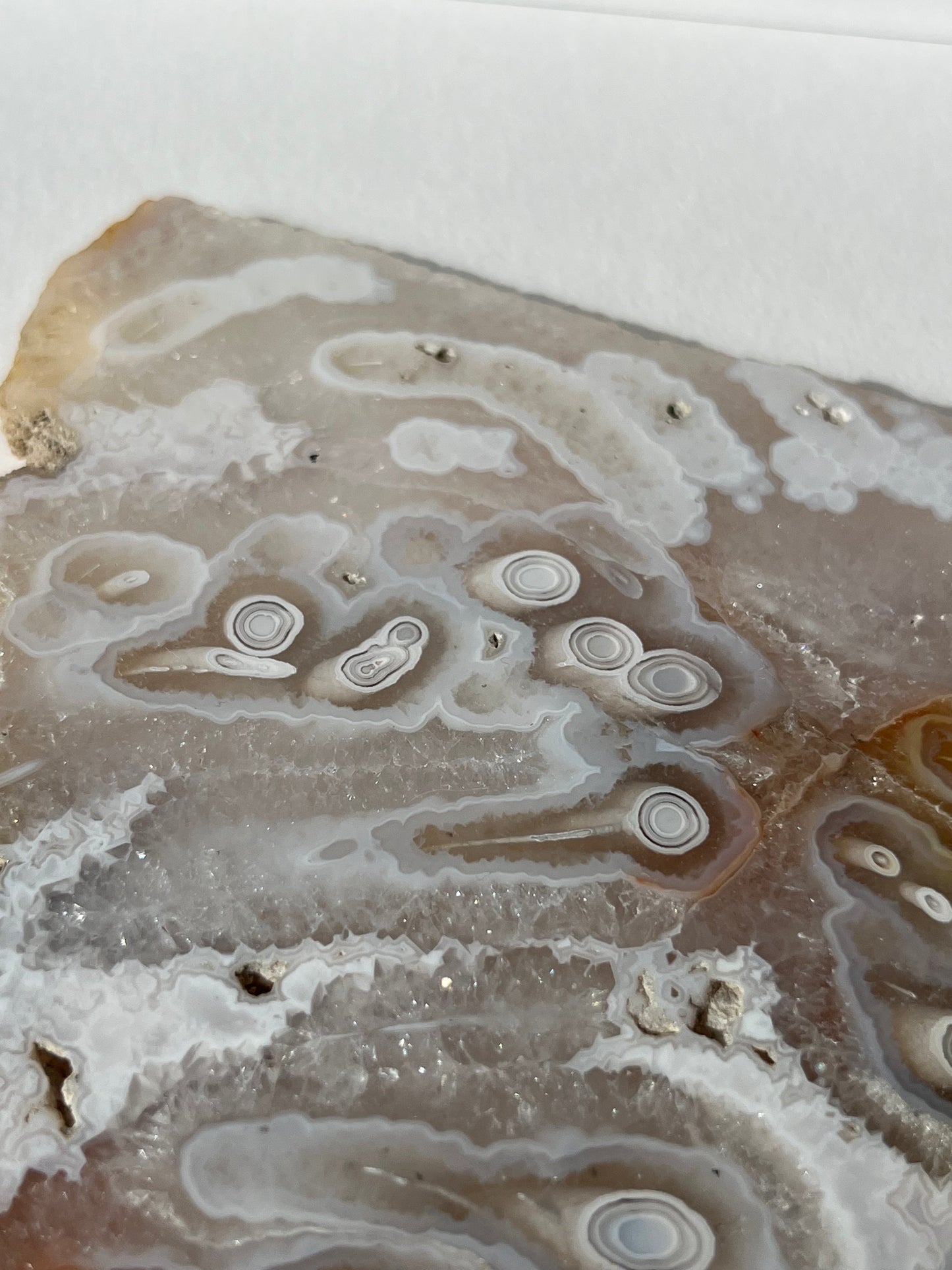 Druzy Orbicular Nebula Agate Slab B with Display Stand