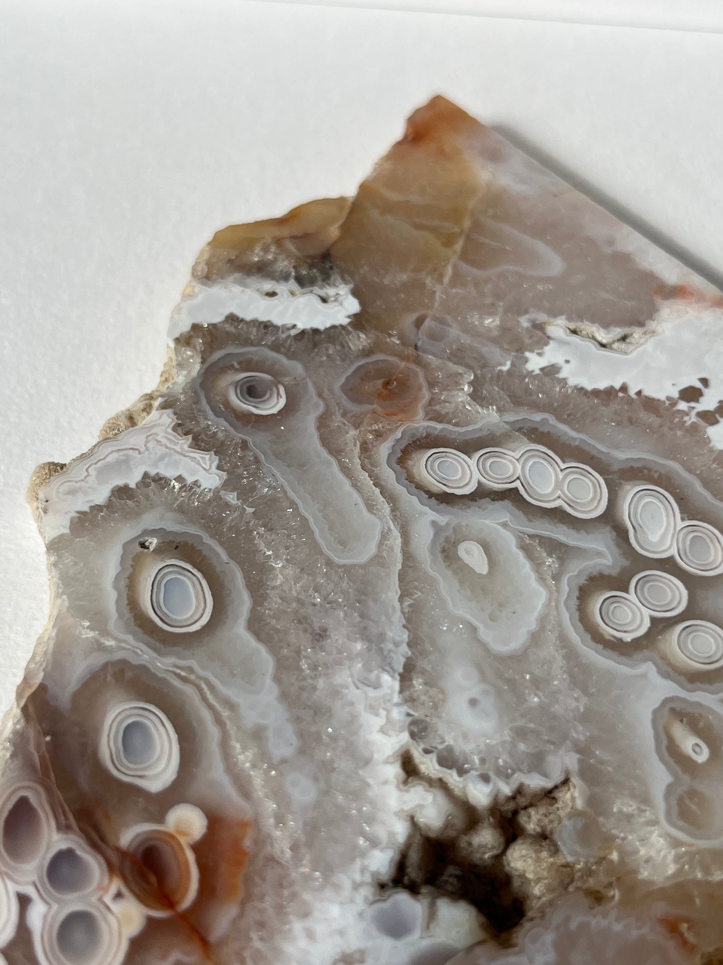 Druzy Orbicular Nebula Agate Slab B with Display Stand