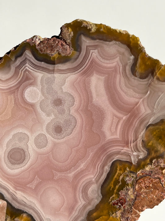 “Blush Stone” Pastel Pink Laguna Agate Specimen with Moss Inclusions and Parallax Effect