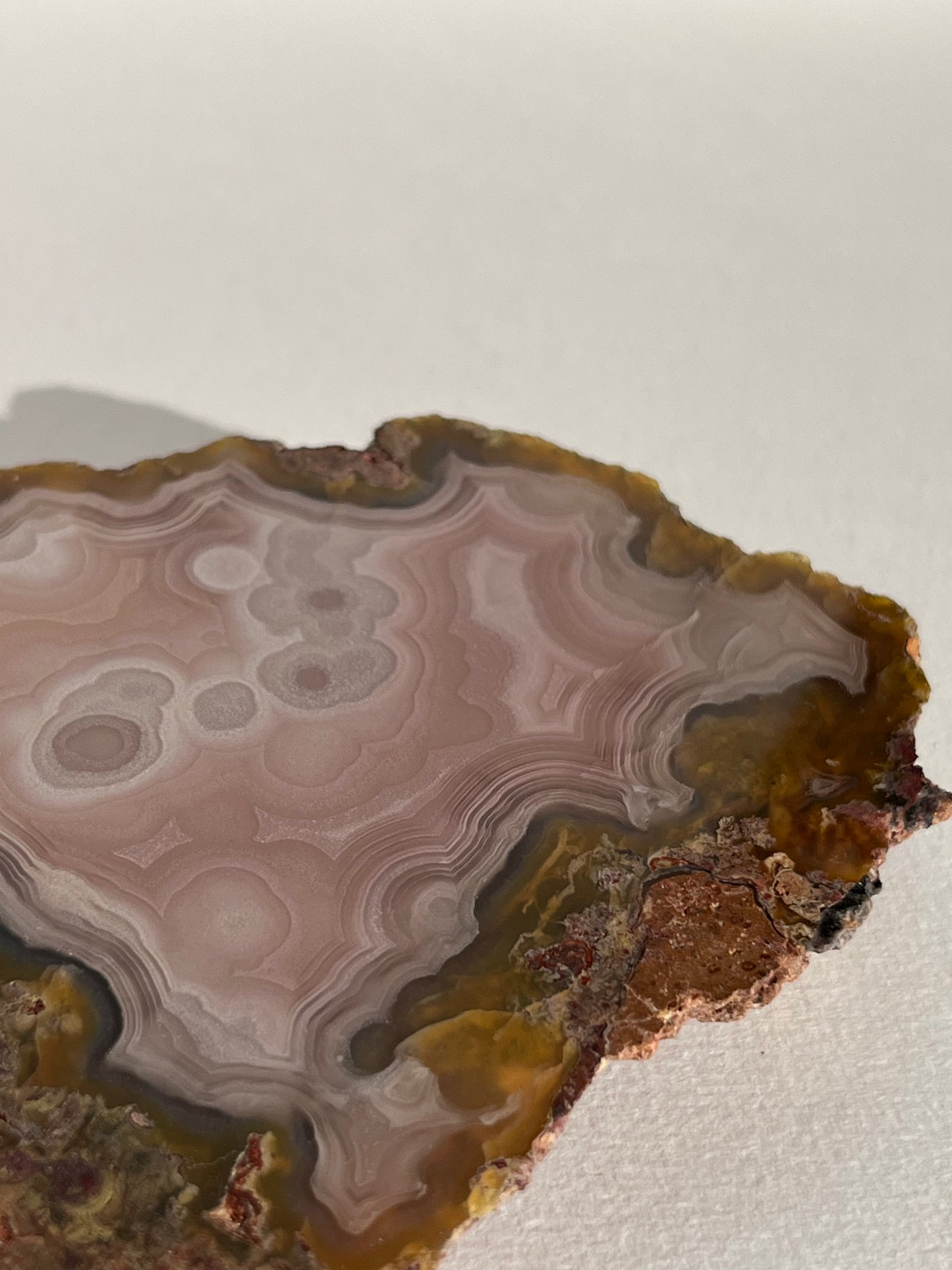 “Blush Stone” Pastel Pink Laguna Agate Specimen with Moss Inclusions and Parallax Effect