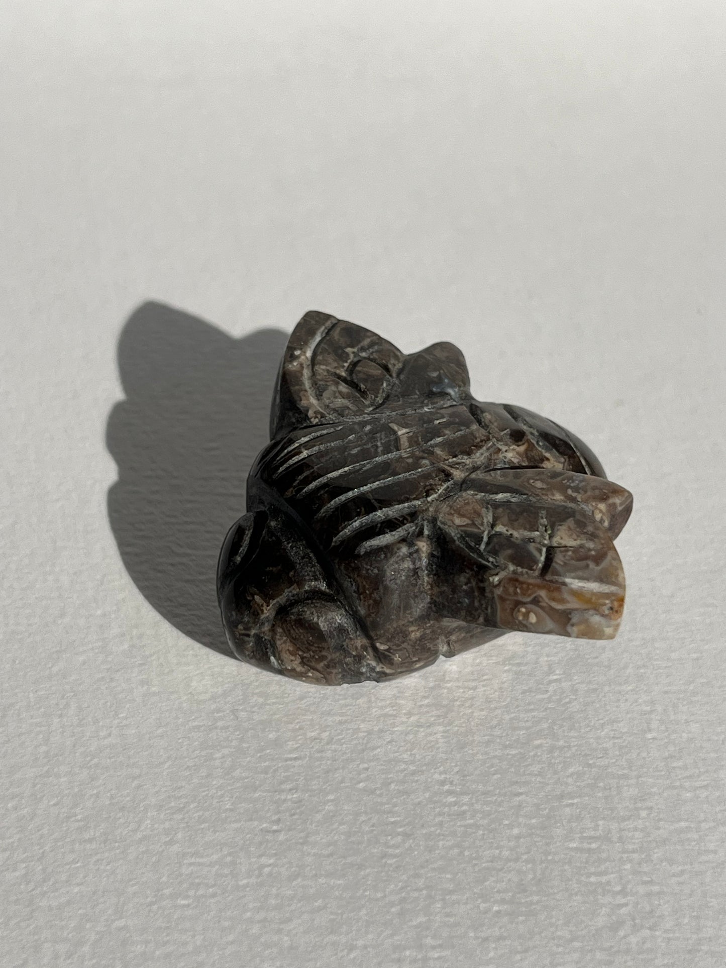 Petrified Wood Bee Carving B