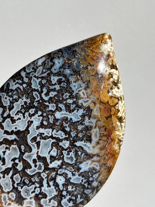 Agatised Petrified Wood Flame Carving A