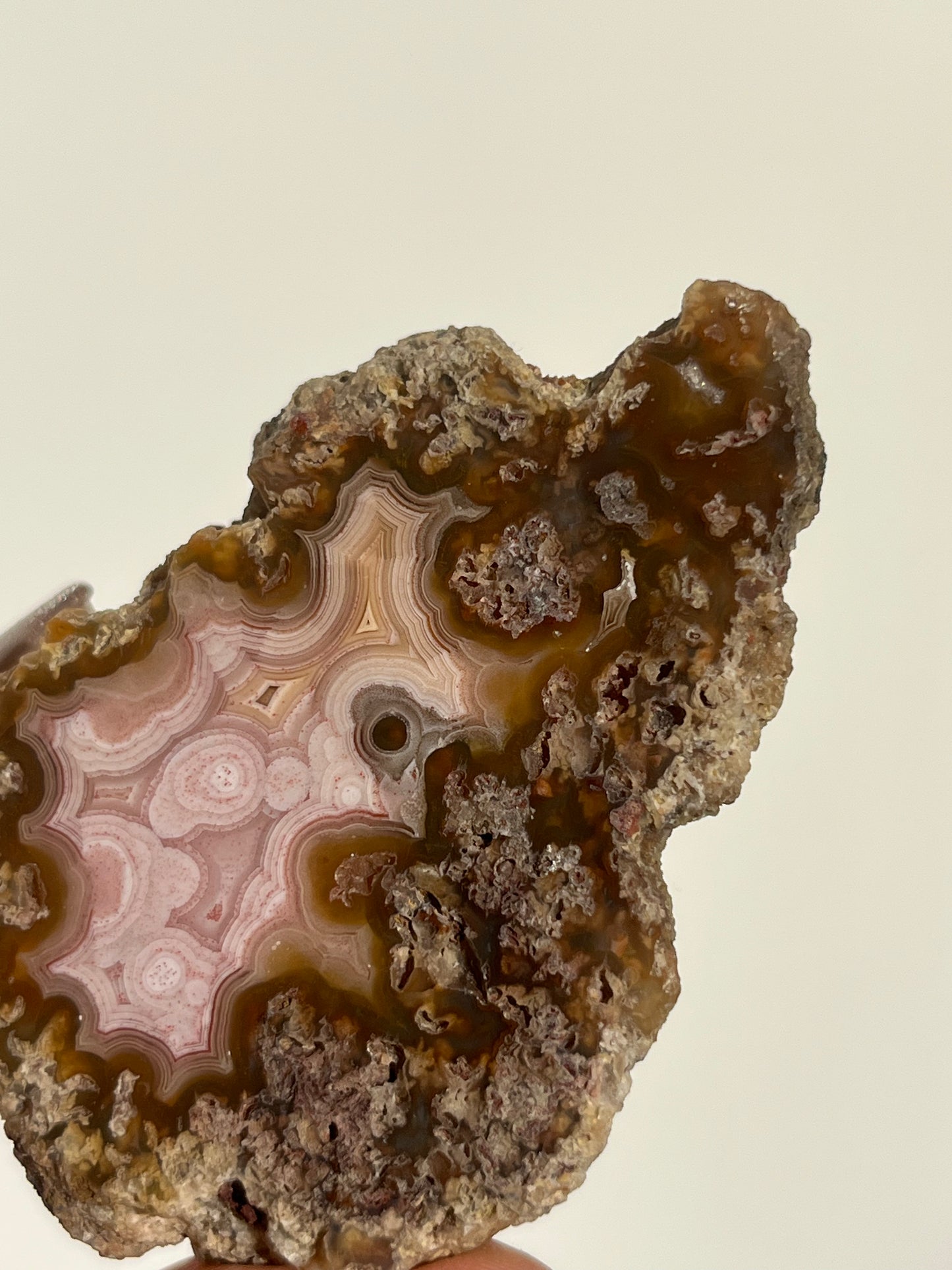 ‘Petal Blooms’ Baby Pink Agua Nueva Agate Geode with Moss Inclusions and Parallax Effect