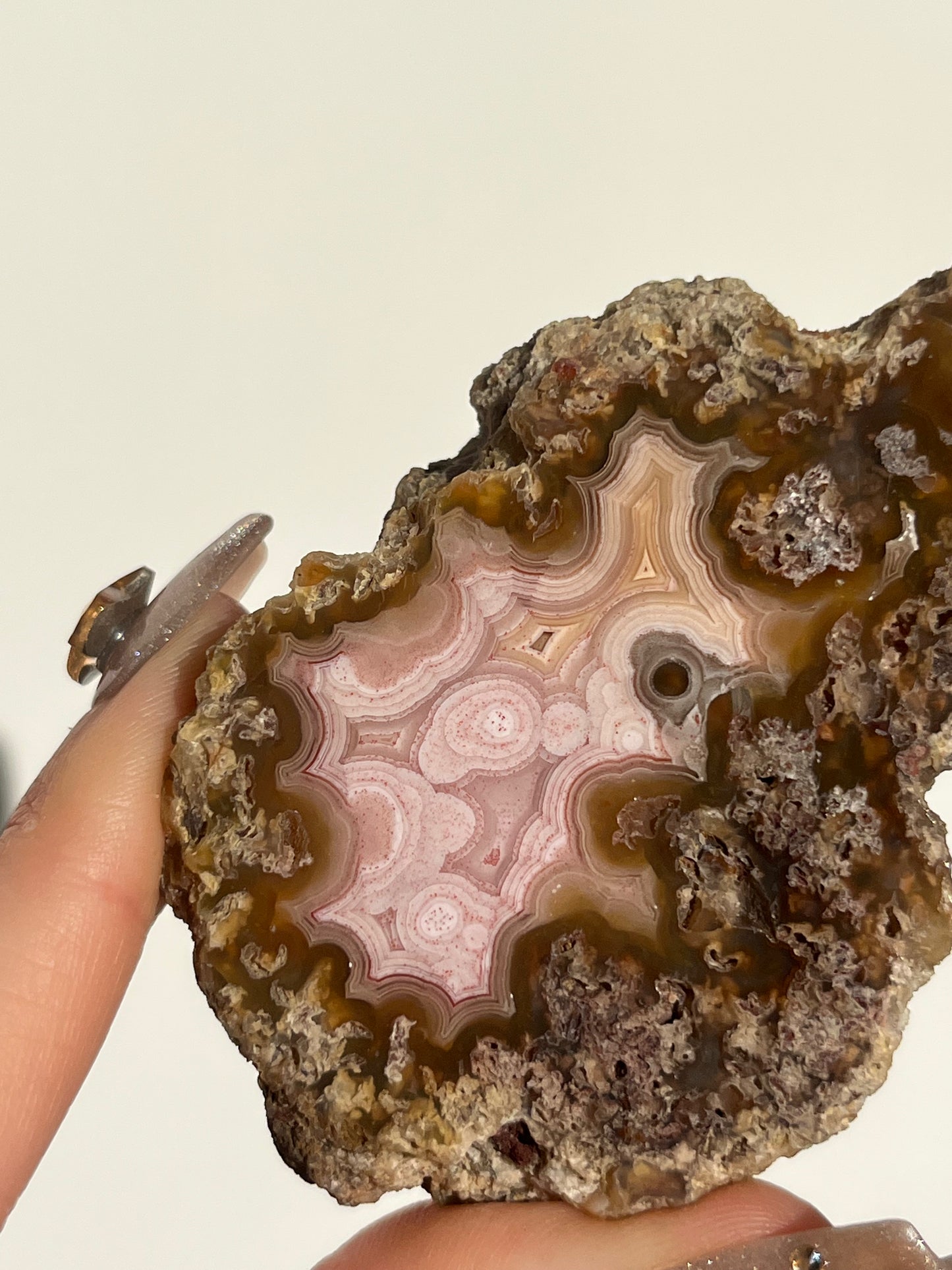 ‘Petal Blooms’ Baby Pink Agua Nueva Agate Geode with Moss Inclusions and Parallax Effect