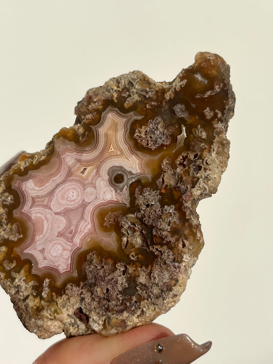 ‘Petal Blooms’ Baby Pink Agua Nueva Agate Geode with Moss Inclusions and Parallax Effect