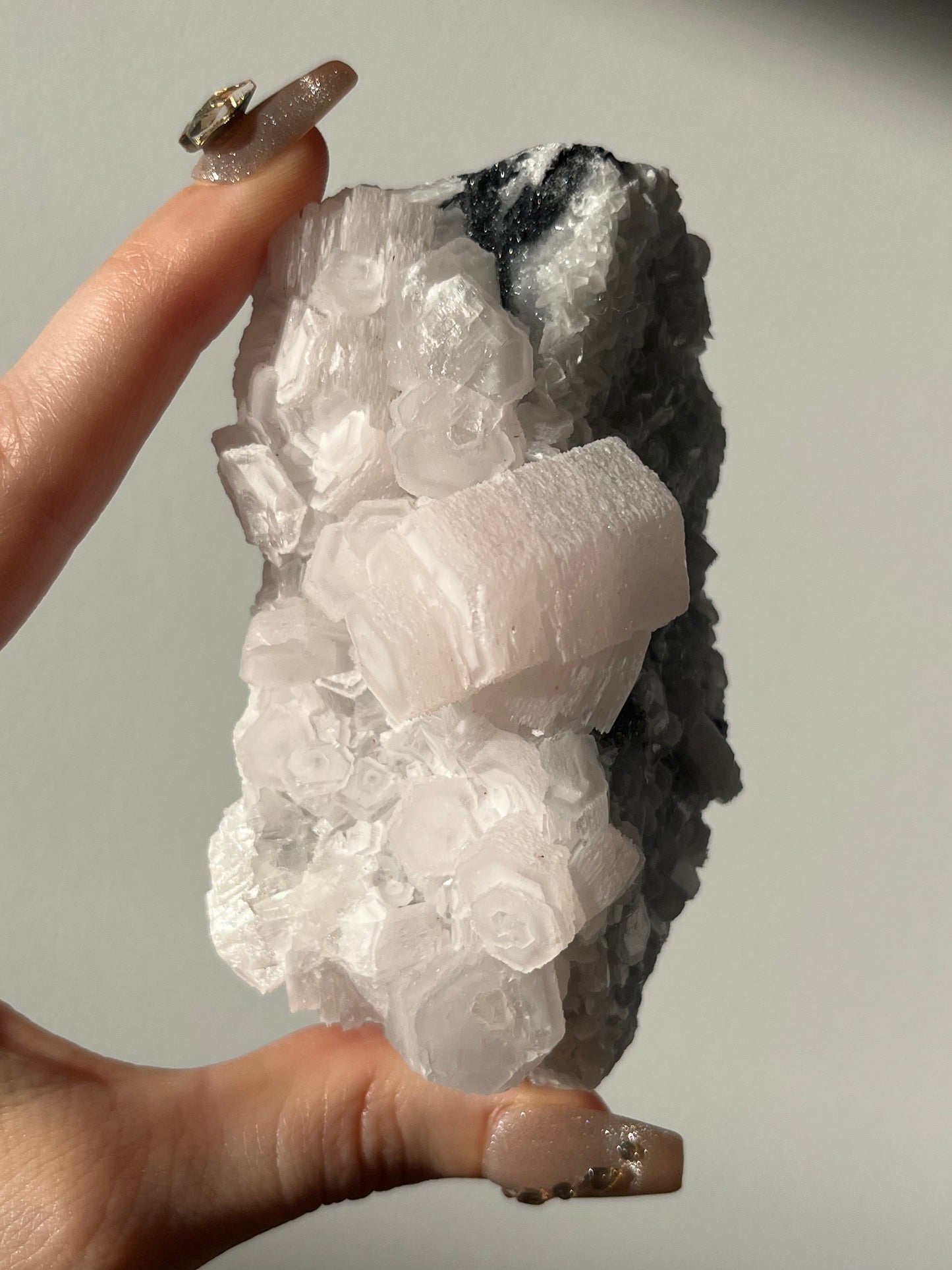 Pink Coin Calcite Specimen A