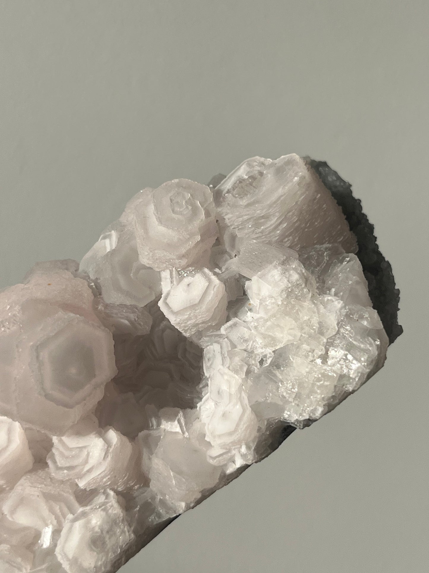 Pink Coin Calcite Specimen A