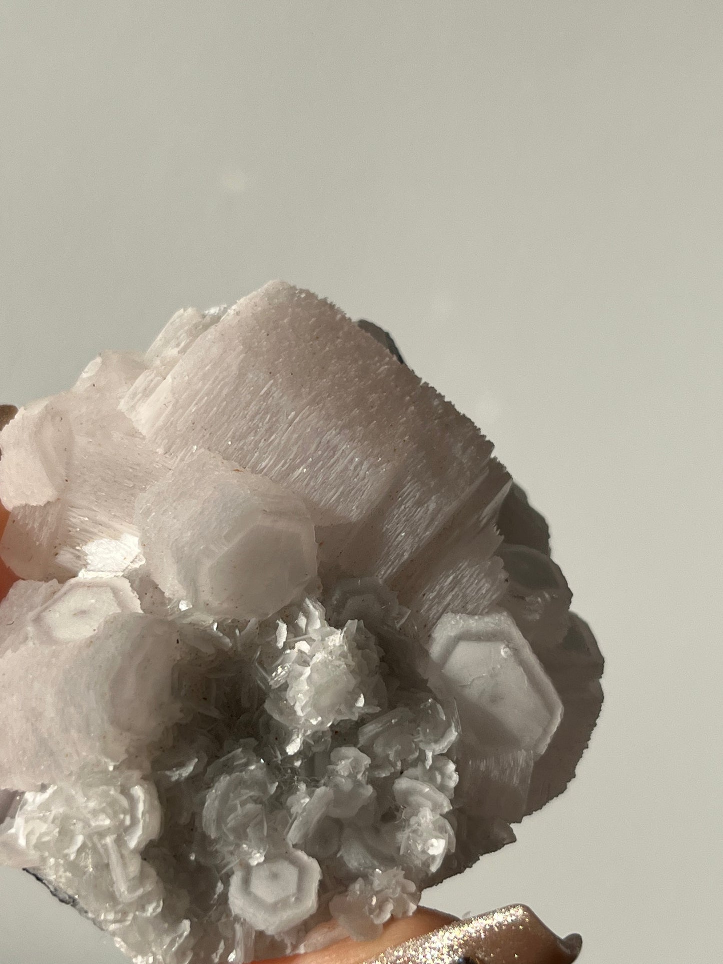 Pink Coin Calcite Specimen B