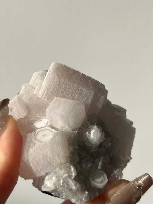 Pink Coin Calcite Specimen B