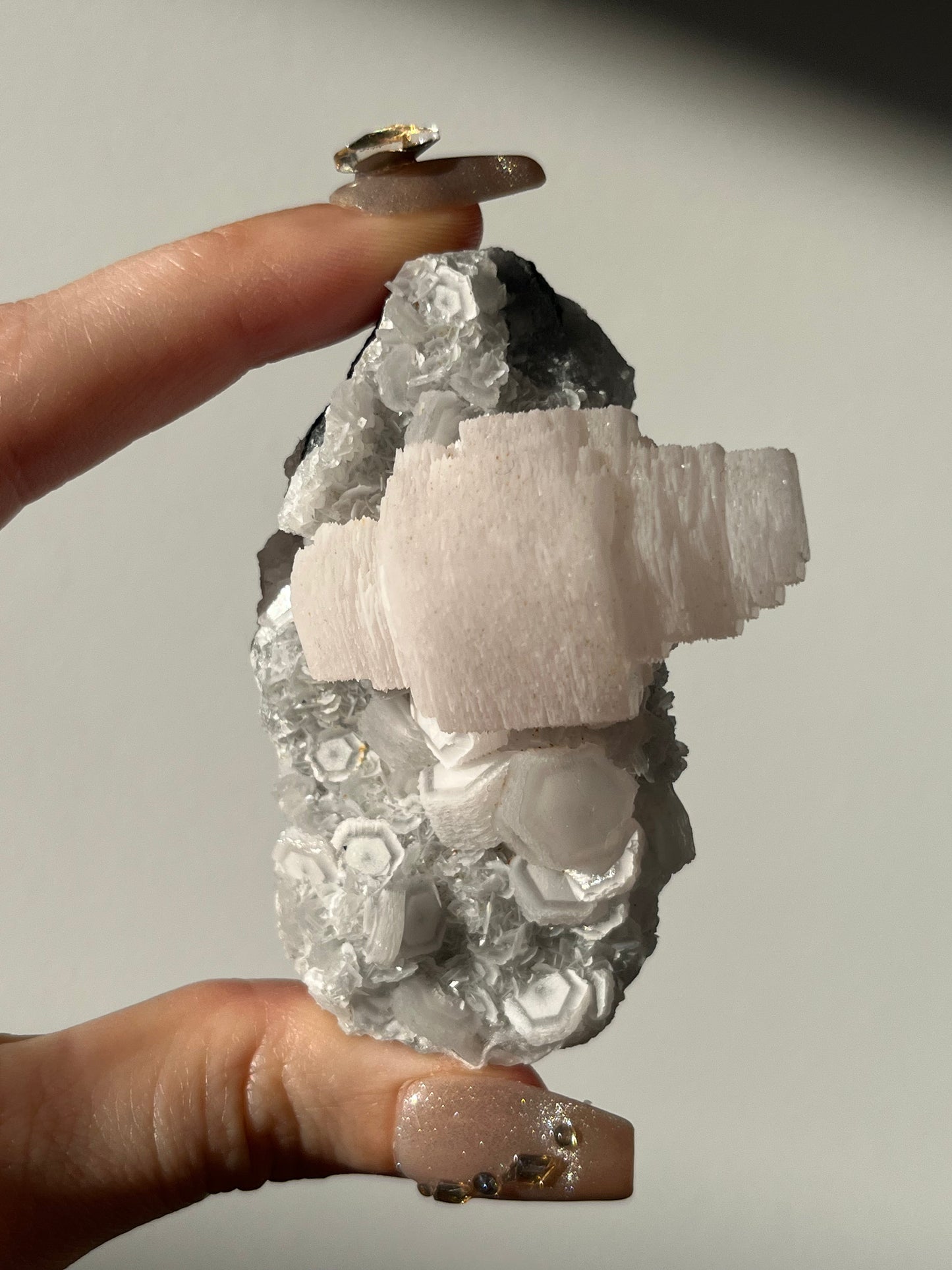 Pink Coin Calcite Specimen C