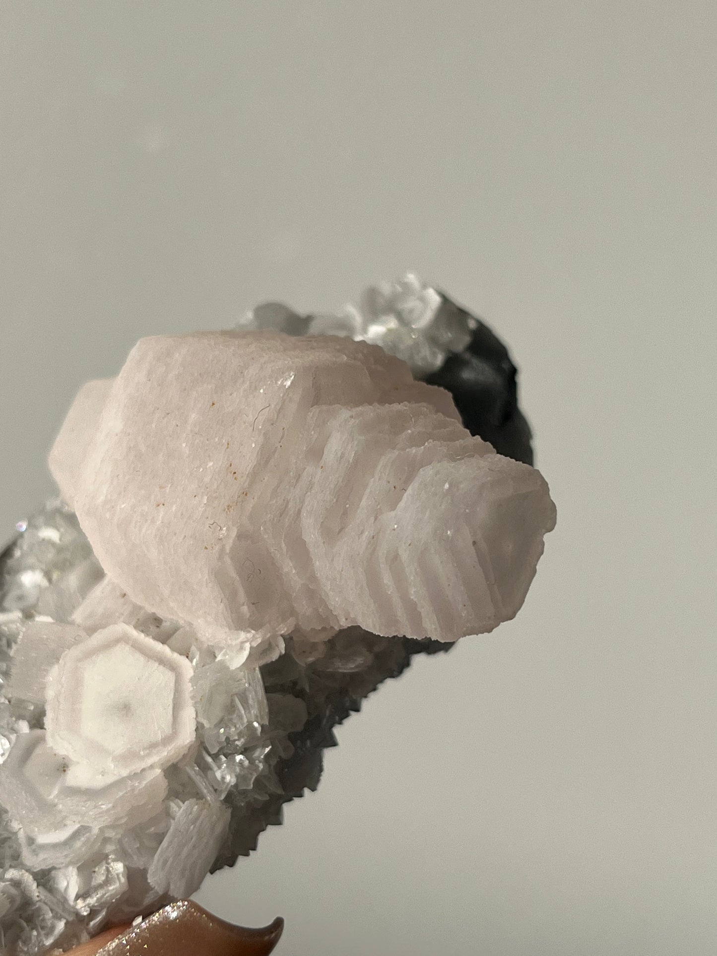 Pink Coin Calcite Specimen C