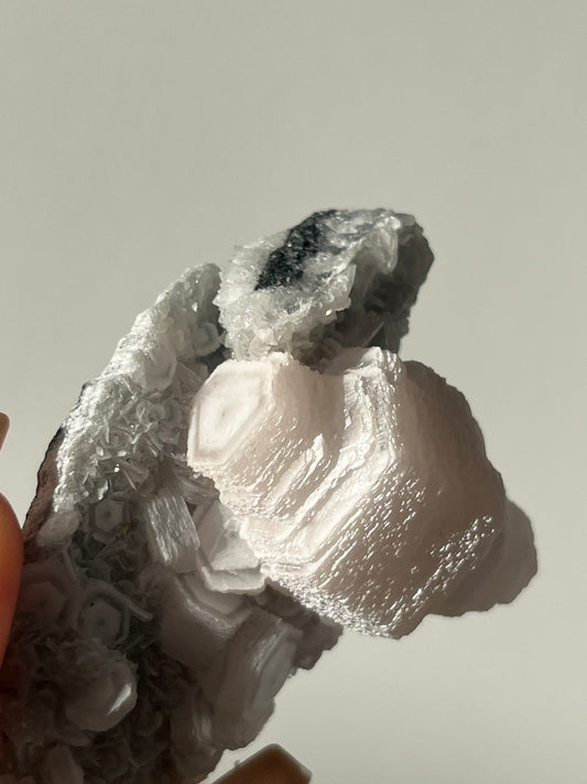 Pink Coin Calcite Specimen C