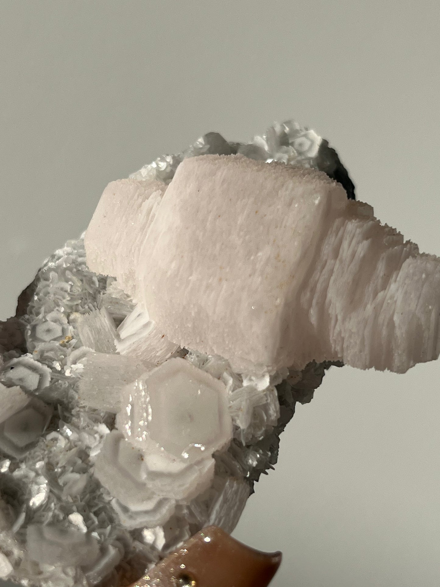 Pink Coin Calcite Specimen C