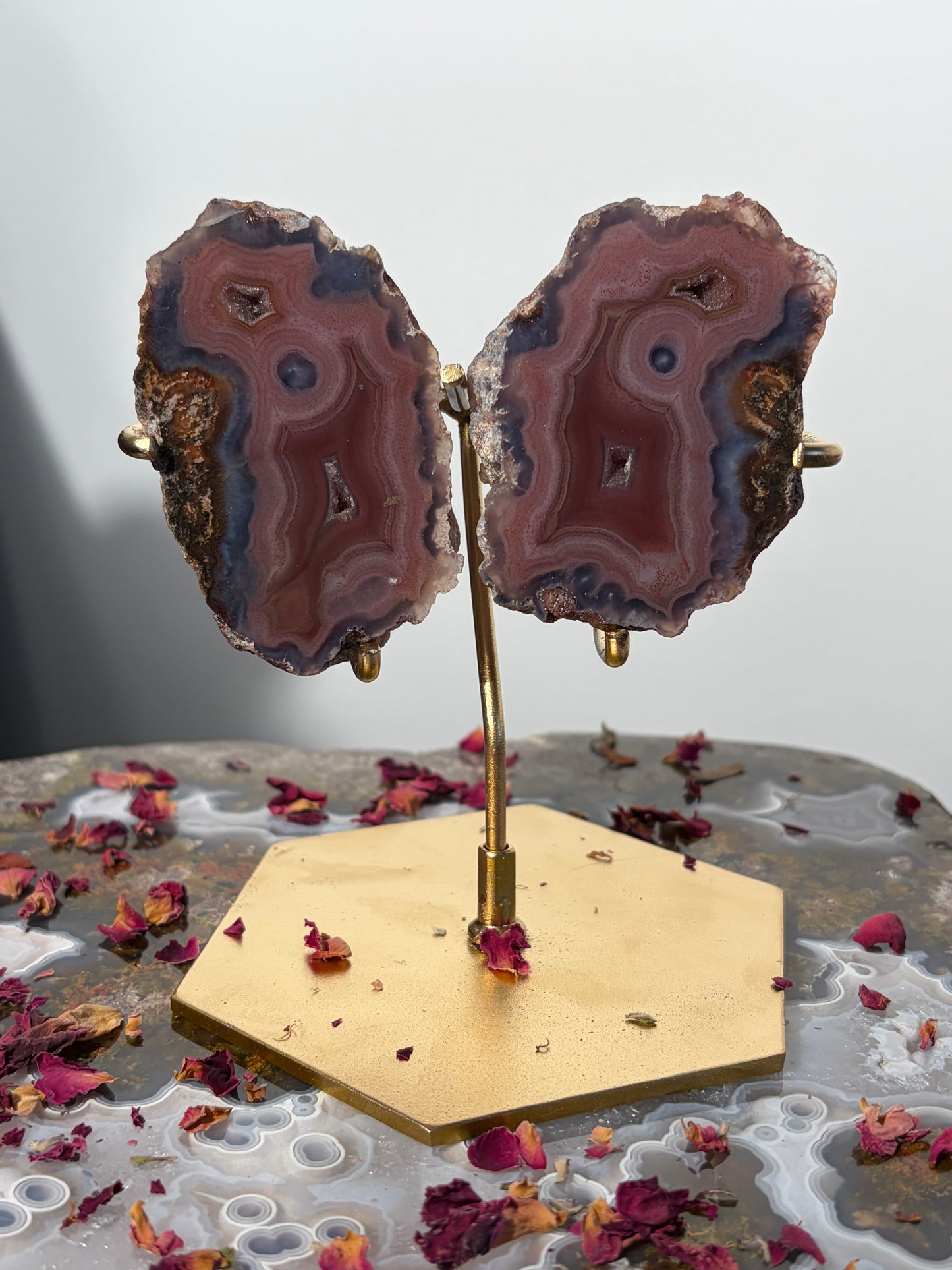 "Velour Sisters" Pink & Purple Banded Laguna Agate Pair on Custom Display Stand