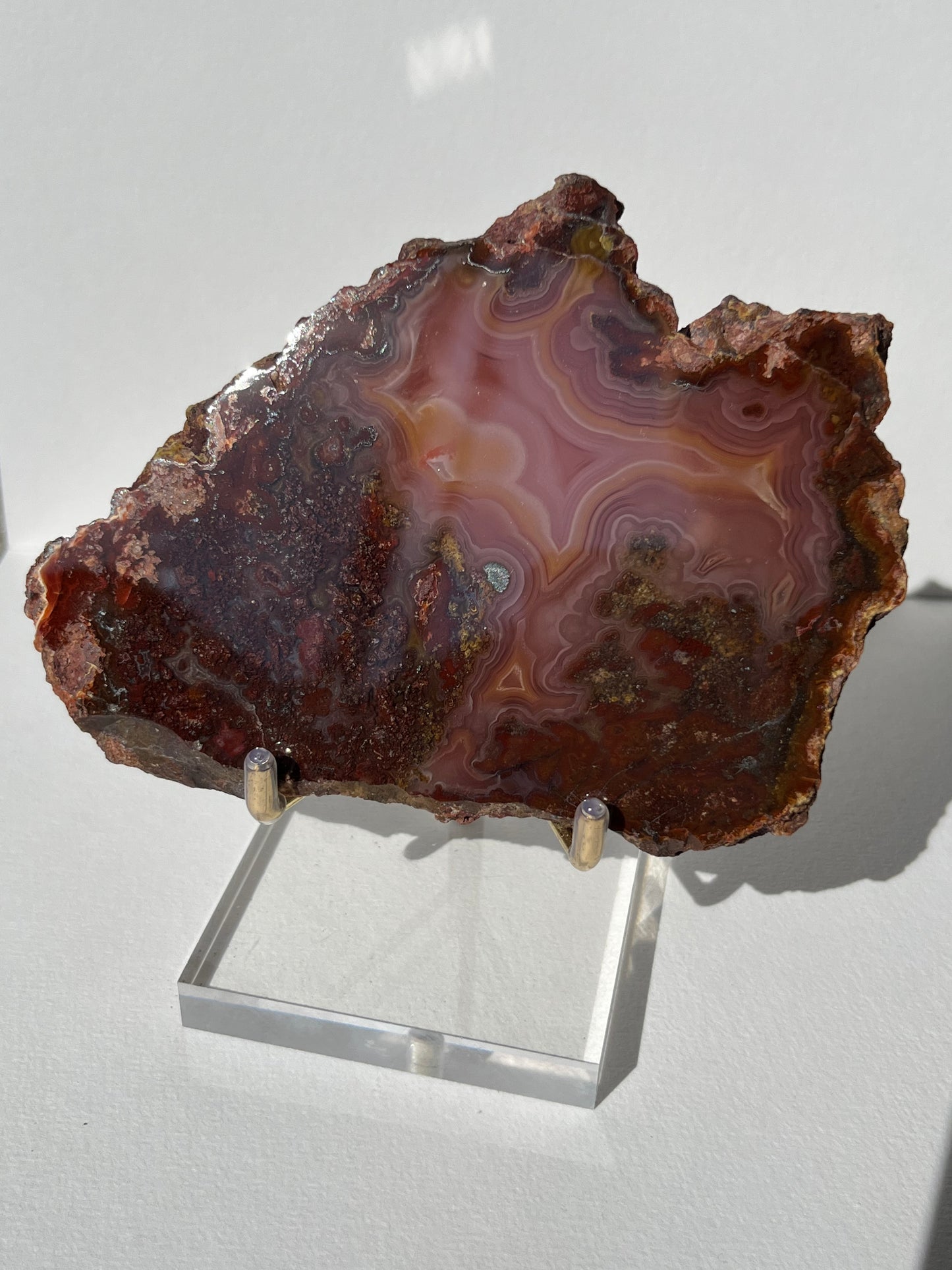 “Rose Forest” Plum Pink Laguna Agate with Red Moss Inclusions & Parallax Effect