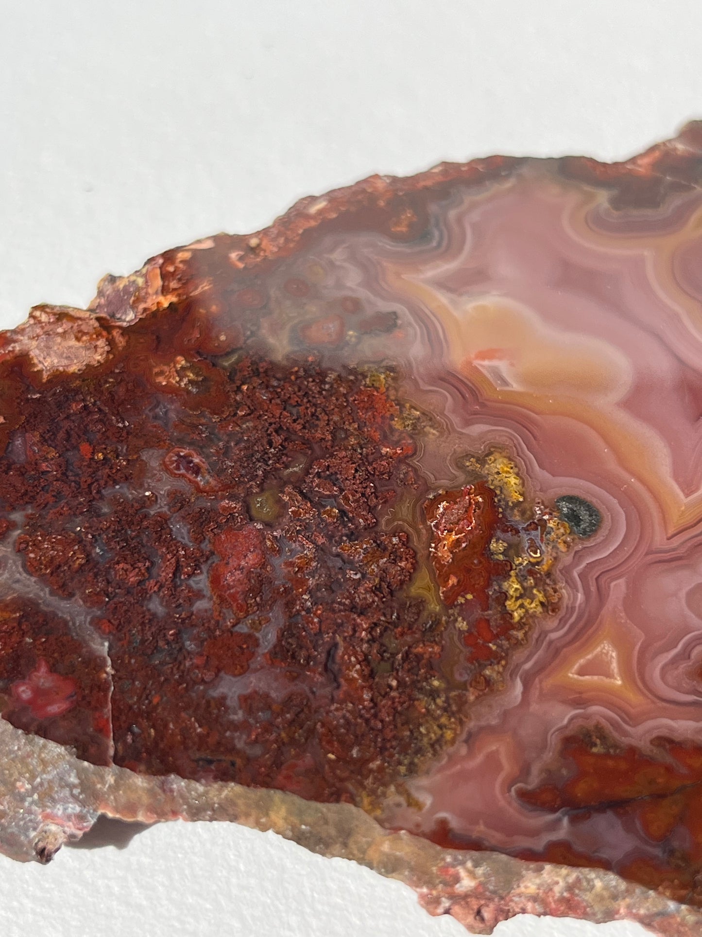 “Rose Forest” Plum Pink Laguna Agate with Red Moss Inclusions & Parallax Effect