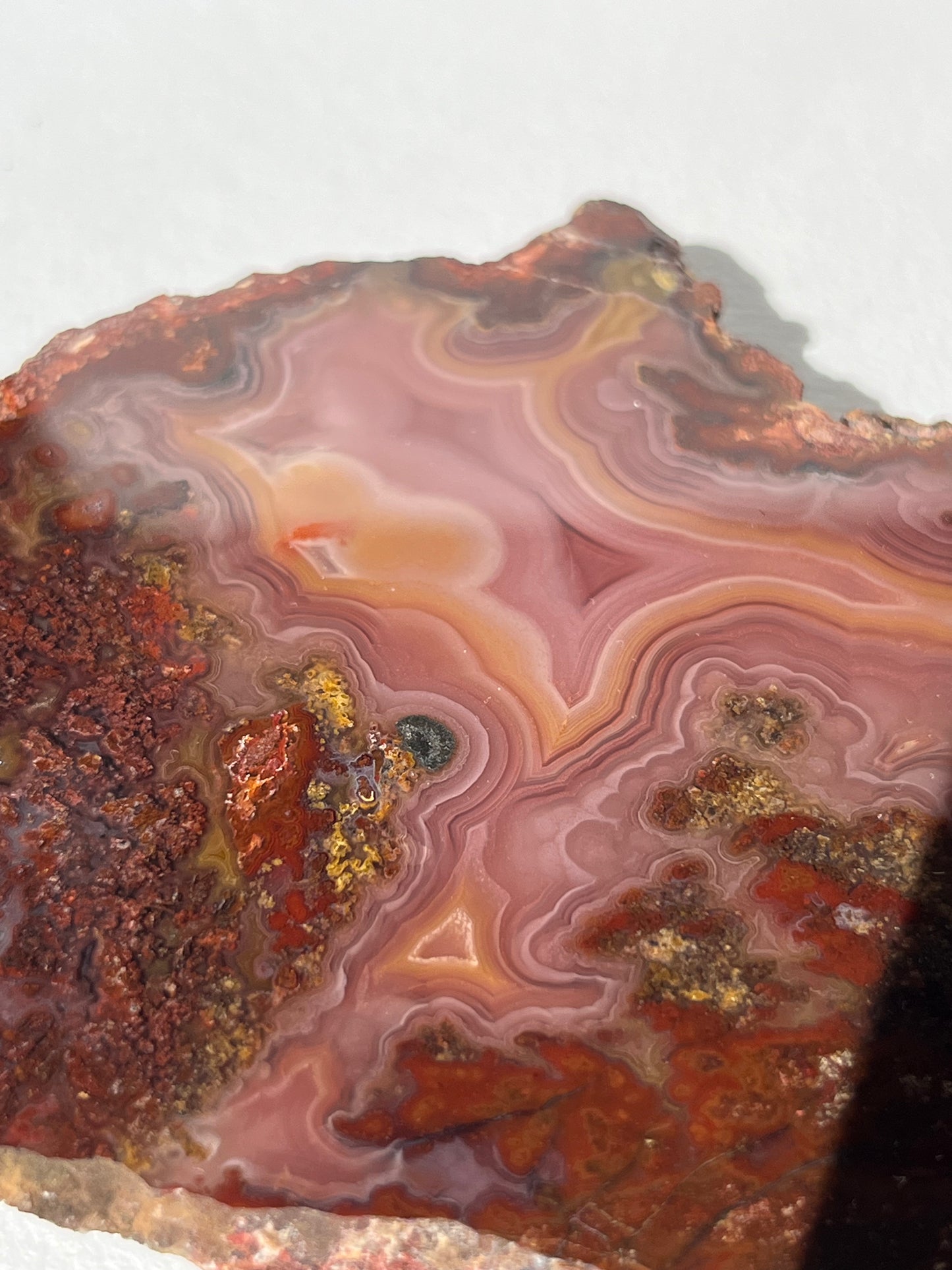 “Rose Forest” Plum Pink Laguna Agate with Red Moss Inclusions & Parallax Effect