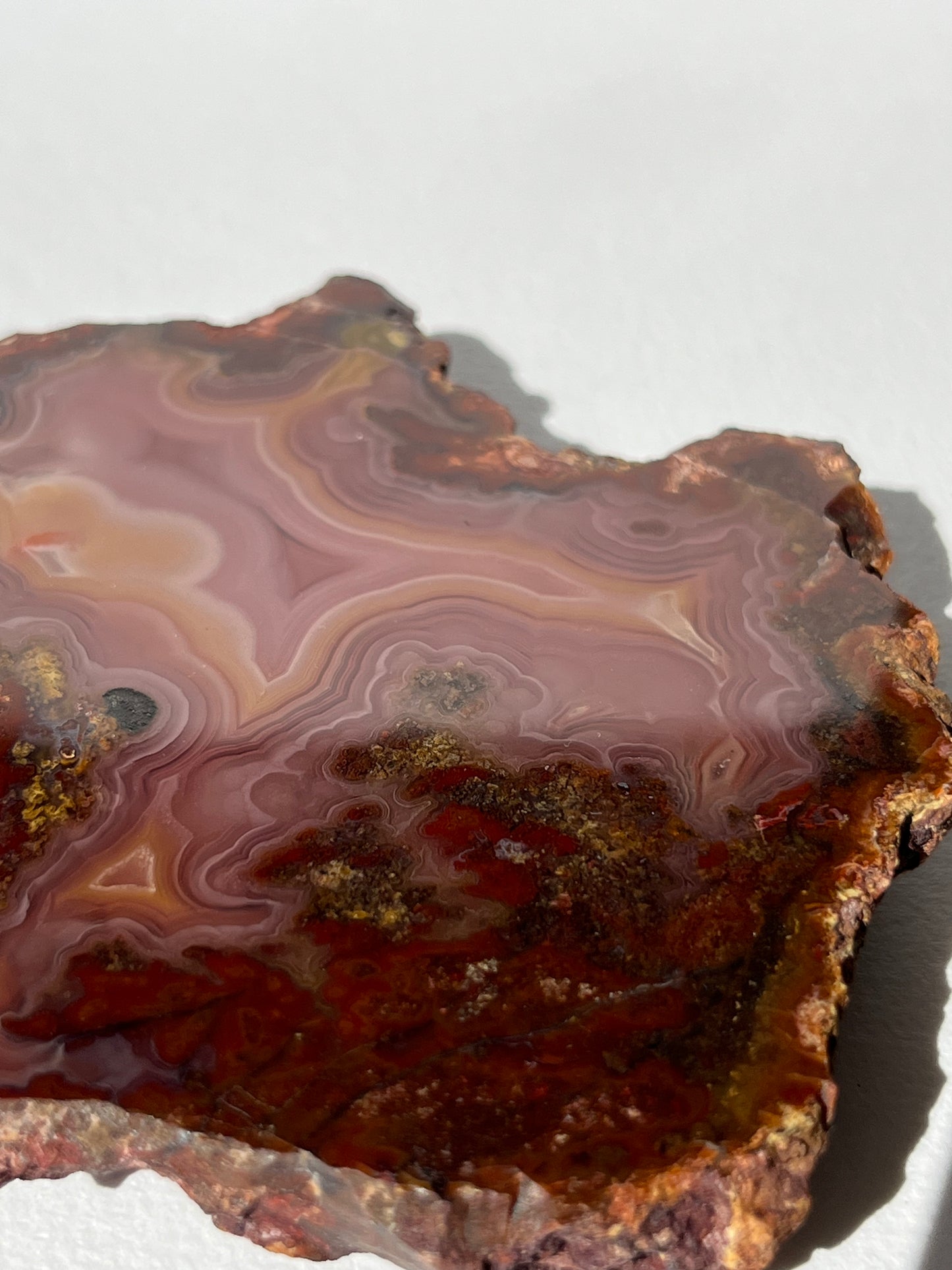 “Rose Forest” Plum Pink Laguna Agate with Red Moss Inclusions & Parallax Effect