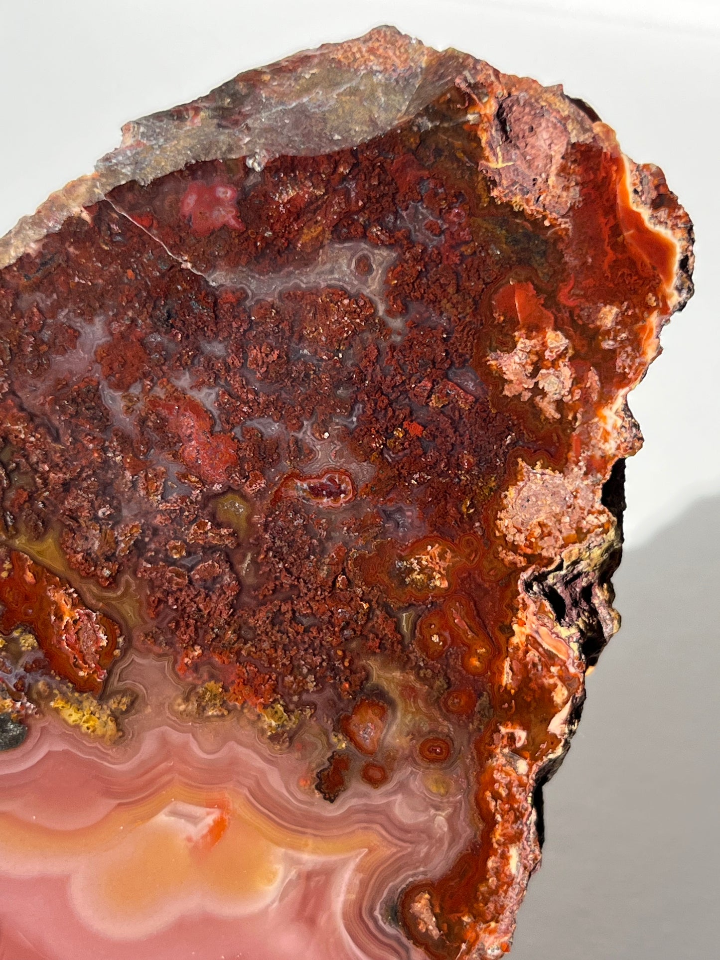 “Rose Forest” Plum Pink Laguna Agate with Red Moss Inclusions & Parallax Effect