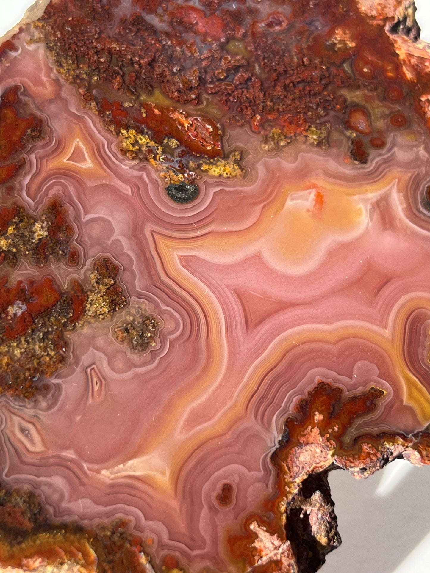 “Rose Forest” Plum Pink Laguna Agate with Red Moss Inclusions & Parallax Effect