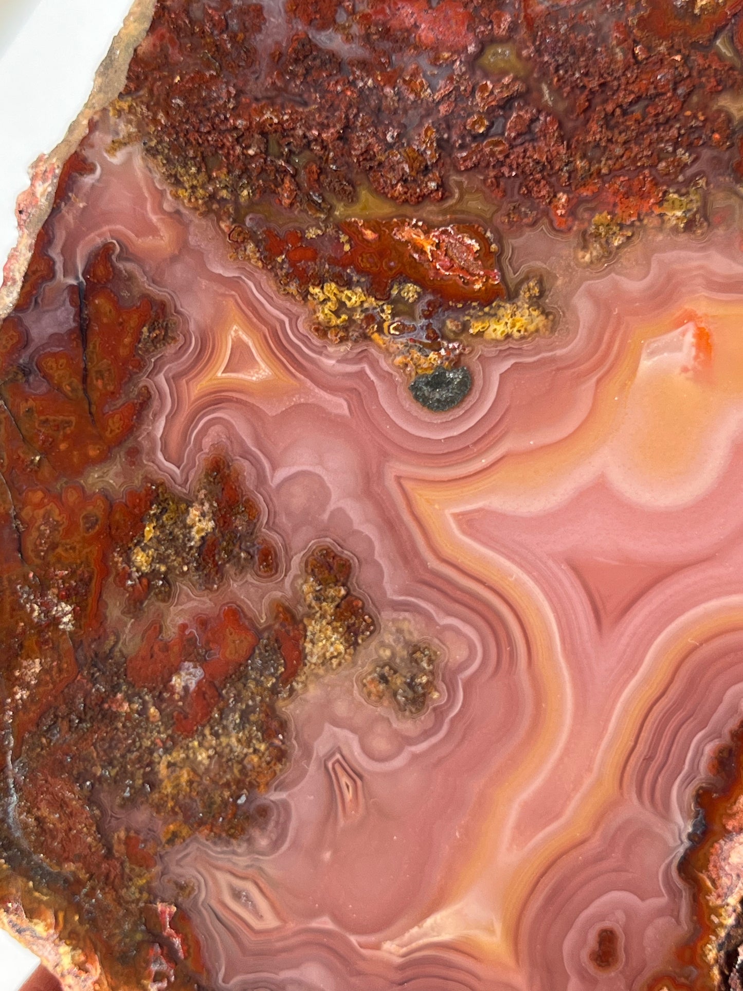 “Rose Forest” Plum Pink Laguna Agate with Red Moss Inclusions & Parallax Effect