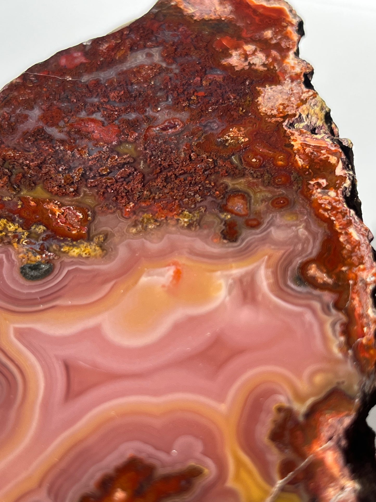 “Rose Forest” Plum Pink Laguna Agate with Red Moss Inclusions & Parallax Effect