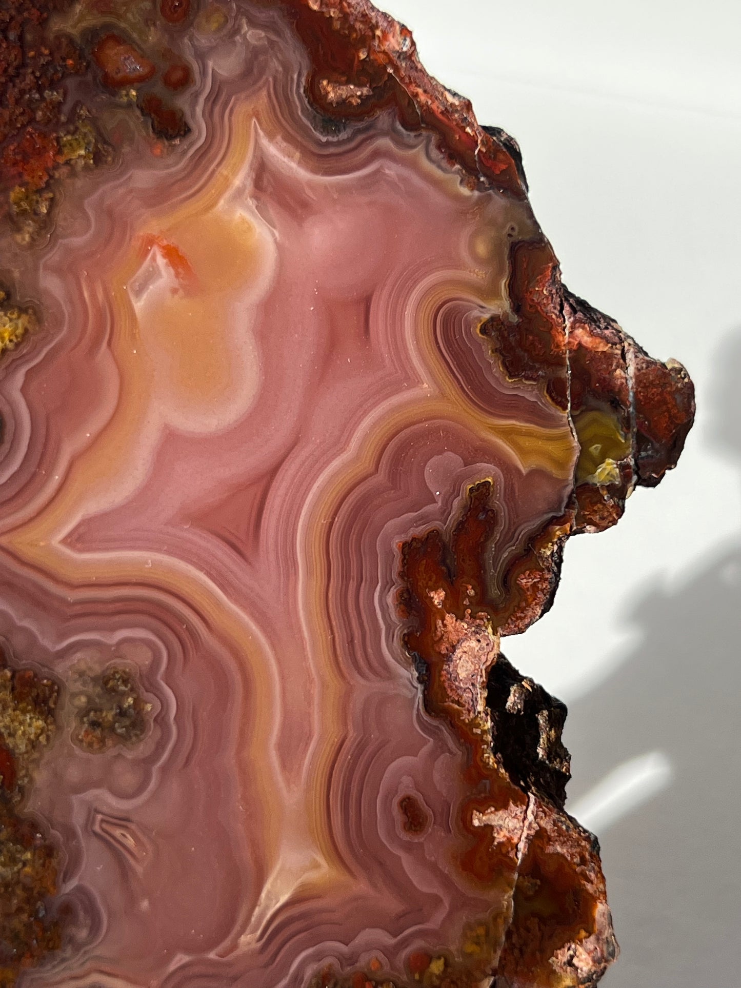 “Rose Forest” Plum Pink Laguna Agate with Red Moss Inclusions & Parallax Effect