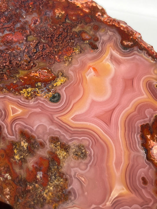 “Rose Forest” Plum Pink Laguna Agate with Red Moss Inclusions & Parallax Effect
