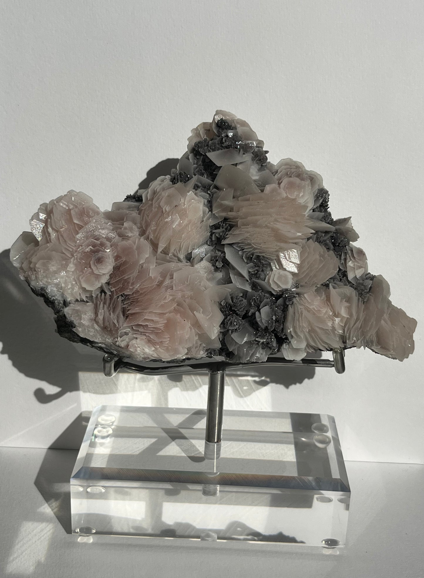 "The Queen of the Night" Pink Sakura Blossom Calcite on Quartz Coated Matrix Specimen with Custom Stand (Collector' Choice)