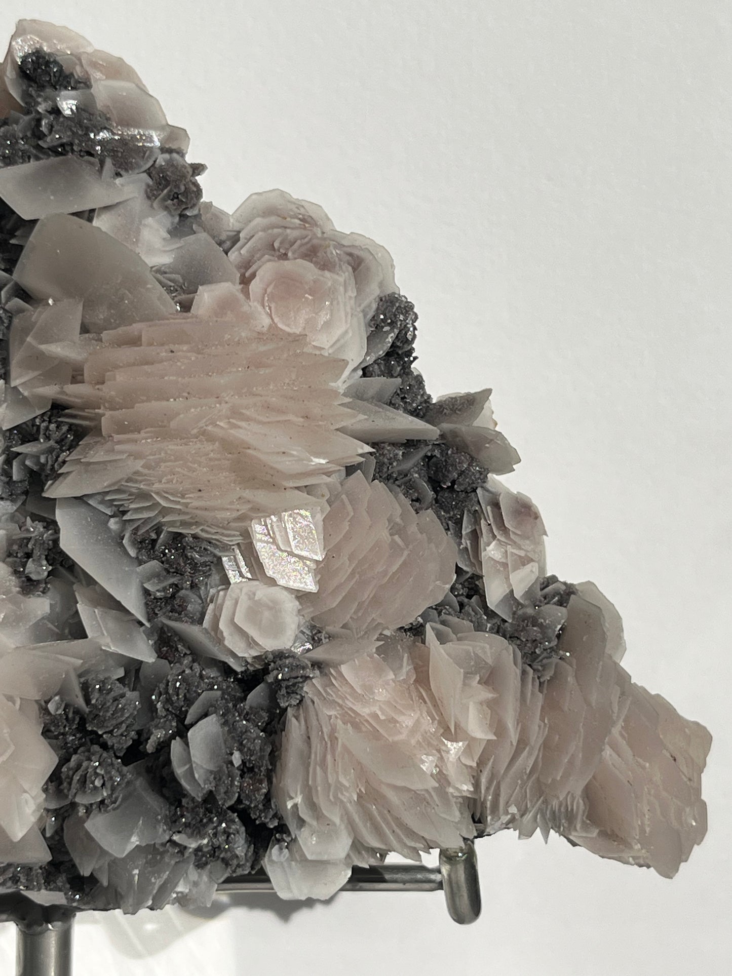 "The Queen of the Night" Pink Sakura Blossom Calcite on Quartz Coated Matrix Specimen with Custom Stand (Collector' Choice)