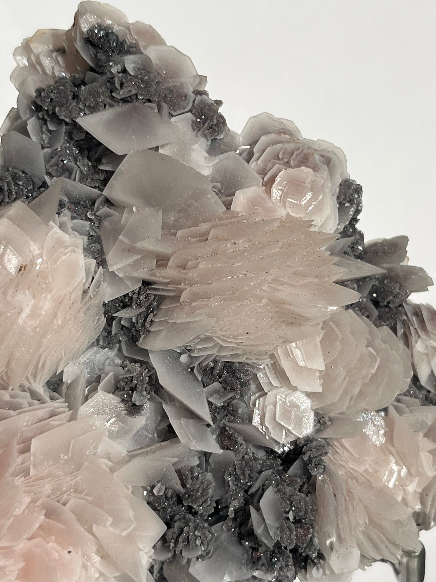 "The Queen of the Night" Pink Sakura Blossom Calcite on Quartz Coated Matrix Specimen with Custom Stand (Collector' Choice)