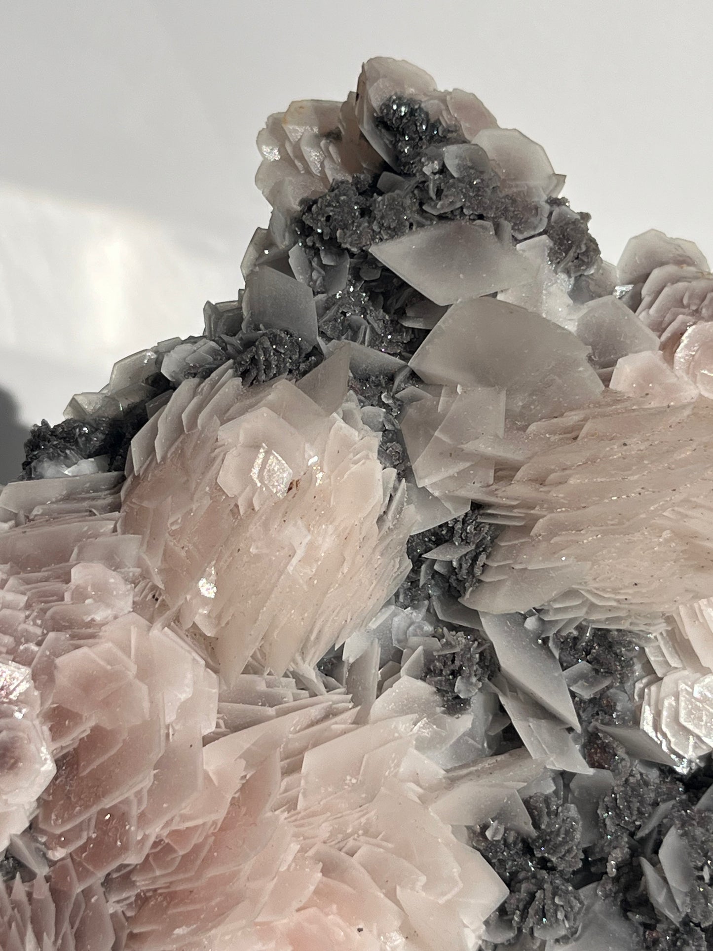 "The Queen of the Night" Pink Sakura Blossom Calcite on Quartz Coated Matrix Specimen with Custom Stand (Collector' Choice)