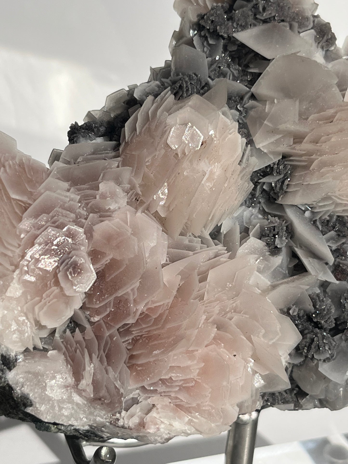 "The Queen of the Night" Pink Sakura Blossom Calcite on Quartz Coated Matrix Specimen with Custom Stand (Collector' Choice)