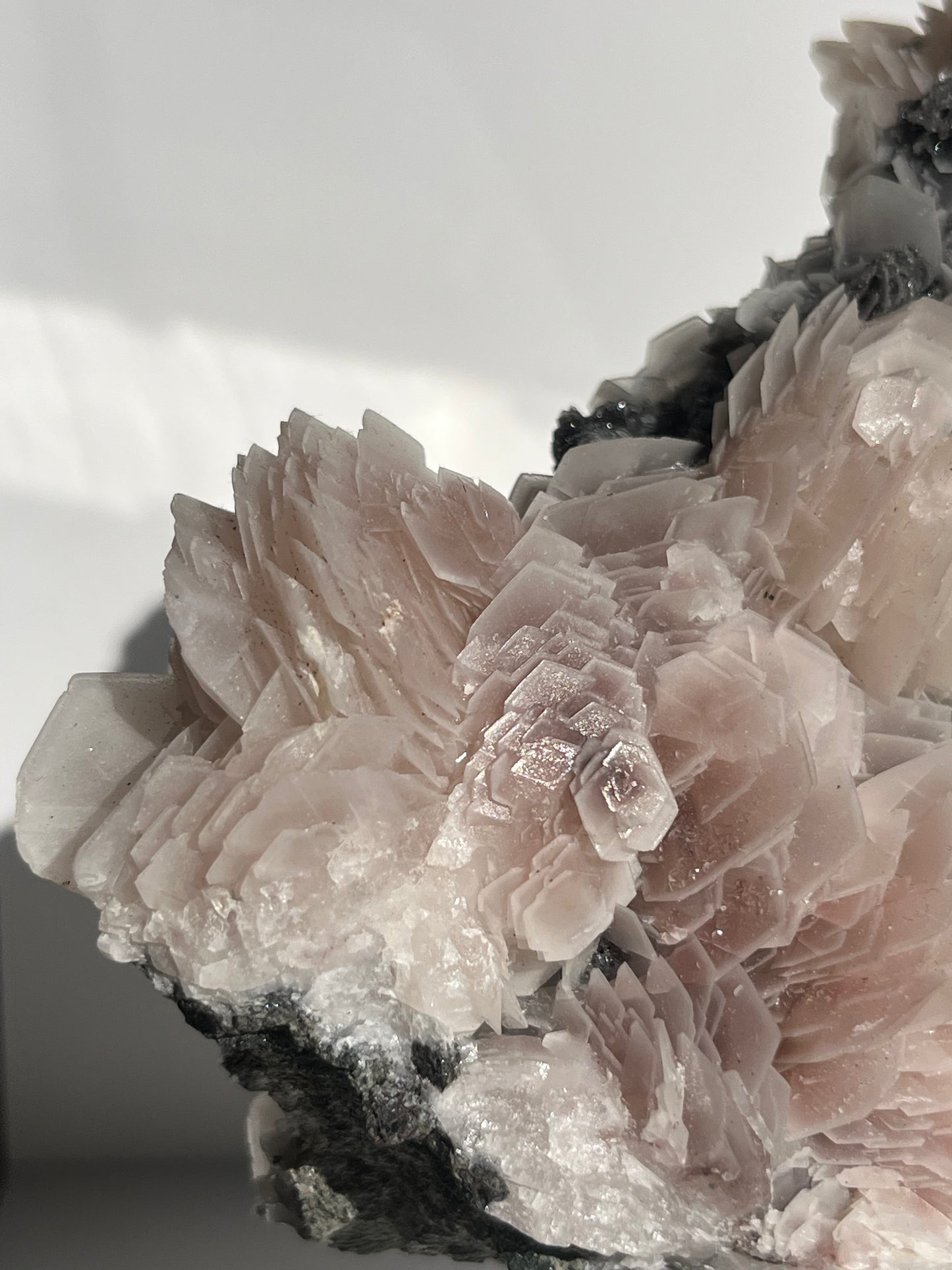 "The Queen of the Night" Pink Sakura Blossom Calcite on Quartz Coated Matrix Specimen with Custom Stand (Collector' Choice)