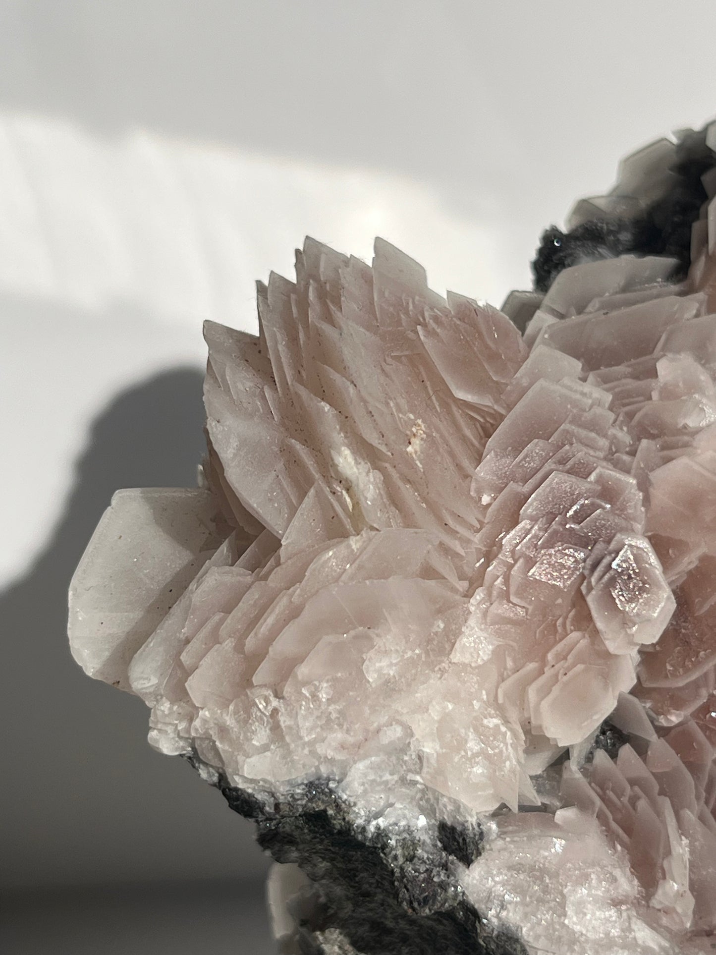 "The Queen of the Night" Pink Sakura Blossom Calcite on Quartz Coated Matrix Specimen with Custom Stand (Collector' Choice)