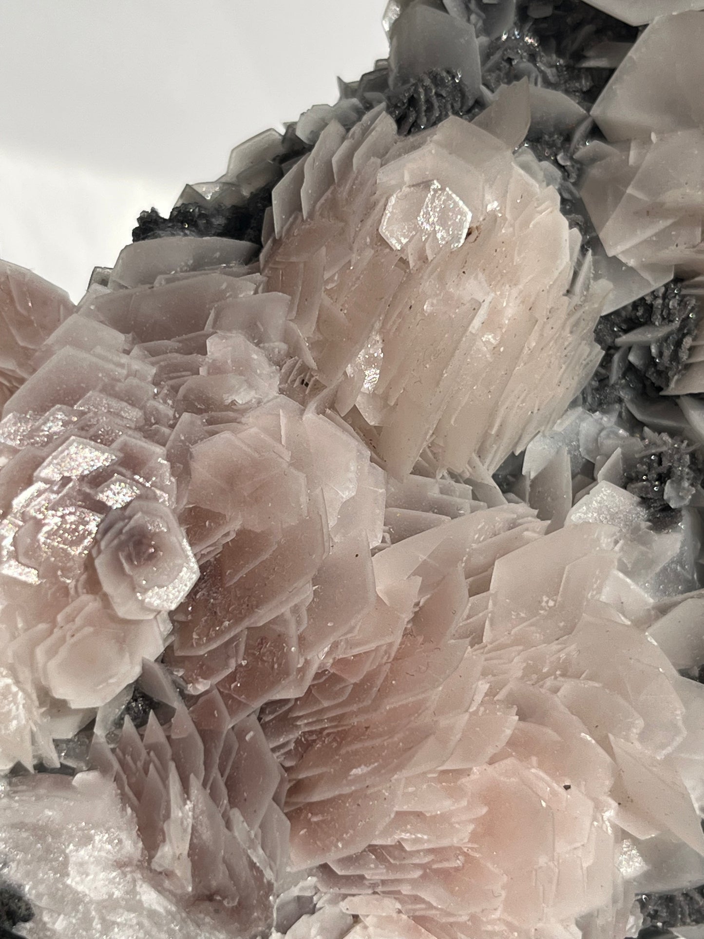 "The Queen of the Night" Pink Sakura Blossom Calcite on Quartz Coated Matrix Specimen with Custom Stand (Collector' Choice)