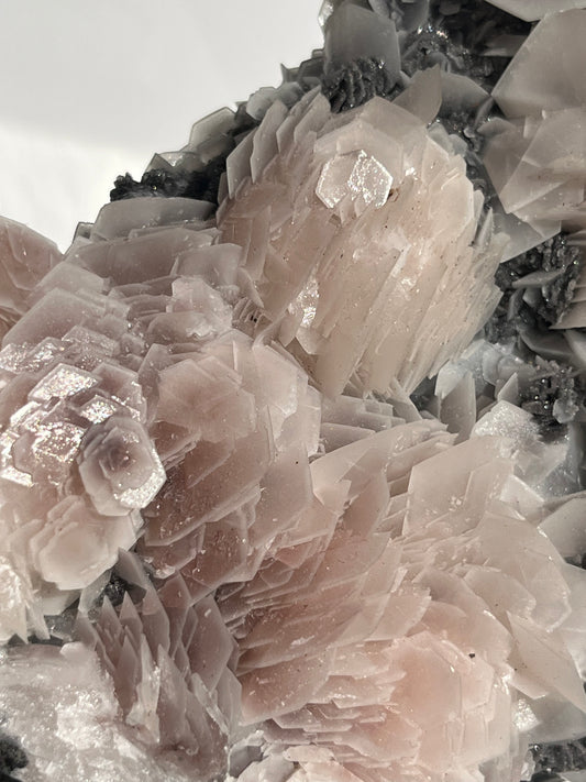 "The Queen of the Night" Pink Sakura Blossom Calcite on Quartz Coated Matrix Specimen with Custom Stand (Collector' Choice)